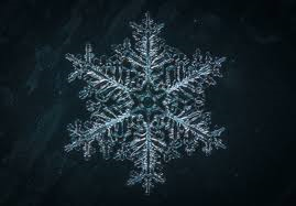 Banner Schneeball 2.0