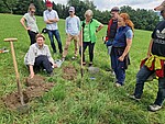 Logo Gesunde Böden - Grundlage für vitale Streuobstwiesen; Bodenansprache mit dem Bodenkoffer