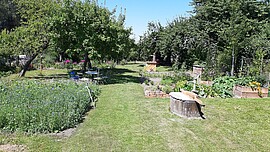 Banner 6. Straubinger Pflanzentauschbörse 