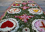 Logo Blumensammeln für den Blumenteppich zu Fronleichnam