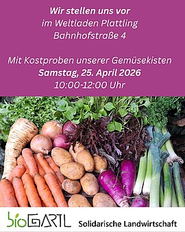 Banner Gemüsekiste trifft Weltladen