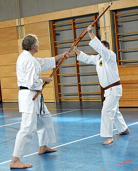Banner Kobudo für Neueinsteiger ab 14 Jahre