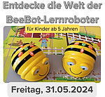 Logo Spiel & Spaß mit BeeBots
