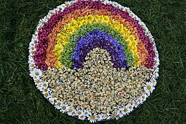 Banner Wocheninfo KW 49