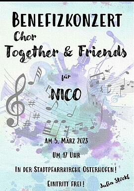 Banner Benefizkonzert für Nico