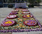 Logo Blumensammeln für den Blumenteppich zu Fronleichnam