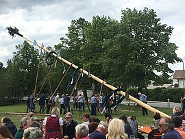 Banner M A I B A U M aufstellen
