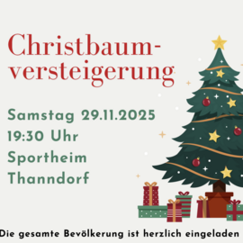Banner Christbaumfeier Thanndorf