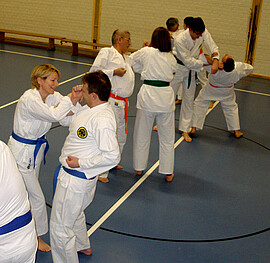 Banner 3-Karate Neueinsteigerkurs für Erwachsene ab 18 Jahre