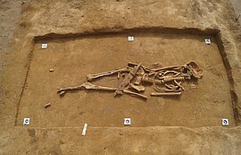 Banner Vortrag "Bestattungsformen im Landkreis Deggendorf durch die Jahrtausende"