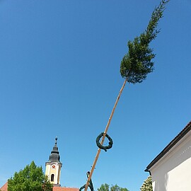 Banner Maibaumaufstellen