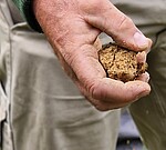 Logo Gesunde Böden - Grundlage für vitale Streuobstwiesen; Bodenansprache mit dem Bodenkoffer