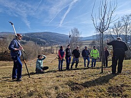 Banner Modul 8 - Ausbildung Streuobstwiesenberater: Förderprogramme und Ernte/Verarbeitung von Streuobst