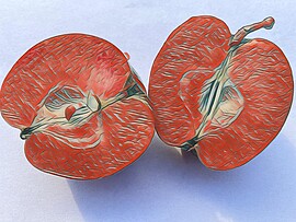 Banner Sortenbestimmungsseminar