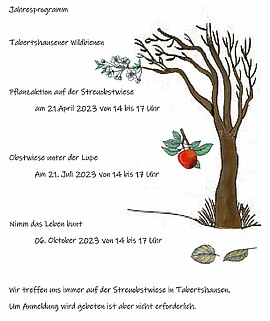 Banner Nimm das Leben bunt