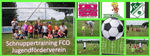 Logo Schnuppertraining FCO 2019