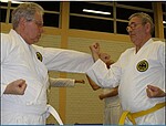 Logo Gesundheitssport mit Elementen aus dem Karate für Neueinsteiger von etwa 40 - 80 Jahre