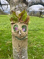 Logo Ausbildung zum Streuobstpädagogen 2026